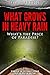 What Grows in Heavy Rain