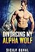 Divorcing My Alpha Wolf