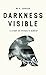 Darkness Visible: A Study of Vergil's "Aeneid"