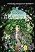 The Secret Garden by Frances Hodgson Burnett