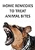 HOME REMEDIES TO TREAT ANIMAL BITES