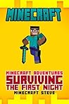 Minecraft: Minecraft Adventures - Surviving The First Night! (minecraft diary, minecraft secrets, minecraft comics, minecraft stories, minecraft ebooks, minecraft kindle, minecraft books Book 1)