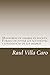 Maniobras de amarre en buques. Formas de evitar los accidentes y estadisticas de los mismos (Spanish Edition)
