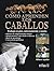 Como aprenden los caballos. Trabajo en piso, entrenamiento y monta
