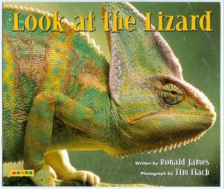 Look at the Lizard (Paperback)