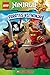 Pirates Vs. Ninja (LEGO Ninjago Reader #6)