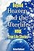 Beyond Heaven and The Afterlife by Richard Bullivant
