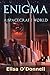 Enigma: A Spacecraft World