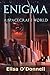 Enigma: A Spacecraft World