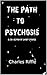 The Path to Psychosis: A Collection of Short Stories