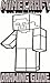 Minecraft by Steve Cube
