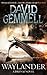 Waylander by David Gemmell