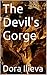 The Devil's Gorge (Across the Ocean Book 1)