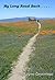 My Long Road Back