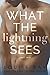 What the Lightning Sees: Part Two (Lightning, #2)