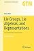 Lie Groups, Lie Algebras, and Representations: An Elementary Introduction (Graduate Texts in Mathematics Book 222)