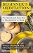 Beginner's Meditation Guide: The Quick and Easy Way to Mindfulness at Work: Meditating using Transcendental Meditation and the Brain at Work (Insight Meditation) ... vipassana techniques books transcendental)