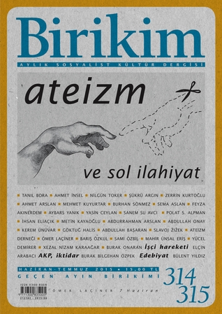 Birikim 314-315