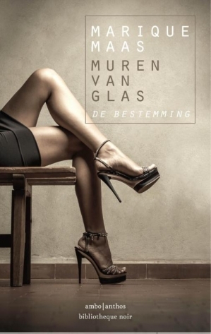 De bestemming (Muren van glas #3)