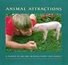 Animal Attractions