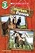 Horses and Ponies (Scholastic Reader, Level 3)