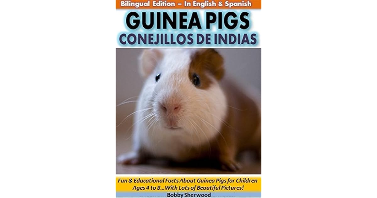 sherwood guinea pig