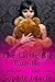 The Little Big Bundle (A Co...