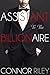 Assistant to the Billionair...
