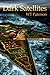 Dark Satellites by W.T. Paterson