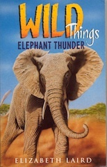 Elephant Thunder (Paperback)