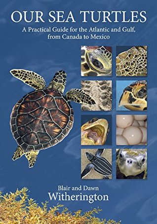 Our Sea Turtles: A Practical Guide for the Atlantic and Gulf, from Canada to Mexico (Paperback)