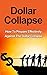 Dollar Collapse: How To Pre...