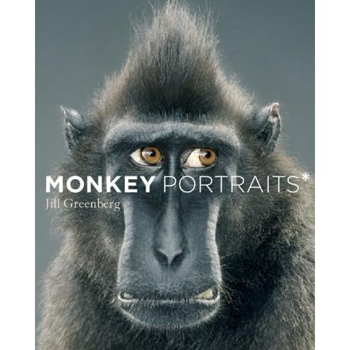 Monkey Portraits By Jill Greenberg Reviews Discussion