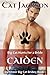 Big Cat Hunts for a Bride: Caiden: BBW Paranormal Shape Shifter Mail Order Bride Romance (Dartmoor Big Cat Brides Book 1)