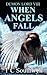 When Angels Fall by T.C. Southwell