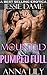 Mounted & Pumped FULL!: Aggressive Men Took Turns Till I Squirted! (Intense Sexy Short Stories Bundle Book 1)