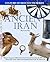 Ancient Iran (Culture of Iran Youth Series, 1) by Massoume Price (2008-05-04)