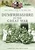 Dumfriesshire in the Great War (Your Towns and Cities in the Great War)