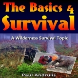The Basics 4 Survival: A Wilderness Survival Topic Book 2