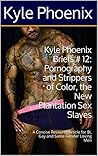 Kyle Phoenix Briefs # 12: Pornography and Strippers of Color, the New Plantation Sex Slaves: A Concise Resource Article for Bi, Gay and Same Gender Loving Men