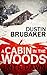 A Cabin In The Woods: Until...