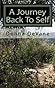 A Journey Back To Self by Donna DeVane