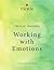 Working With Emotions (Tricycle Teachings #12)