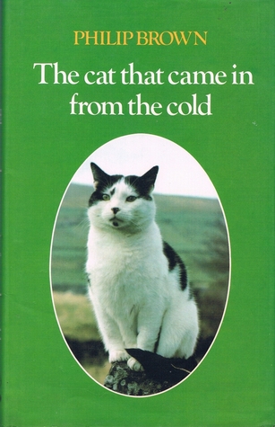 The cat that came in from the cold