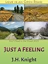 Just a Feeling by J.H. Knight