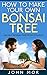 How to make your own bonsai tree: grow a bonsai tree from scratch (Grow Indoor Trees Book 5)