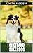 Shetland Sheepdog: How to O...