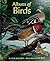 Album of Birds