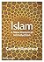 Islam: A New Historical Introduction