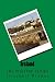 Ireland by Elizabeth Kramer